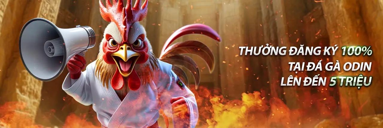 Tin tức và cập nhật mới nhất từ ty88